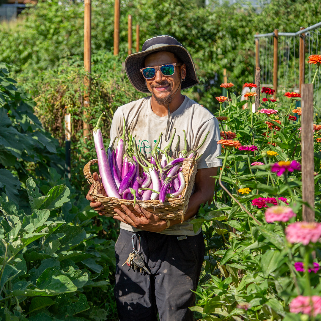The #gardening season is here! It's an exciting time and has been made even more so by all of the new #gardeners #growing to supply their families and communities with #freshfood. Read our gardening tips for first time growers at bit.ly/3T8lJrc. 🌱🌱