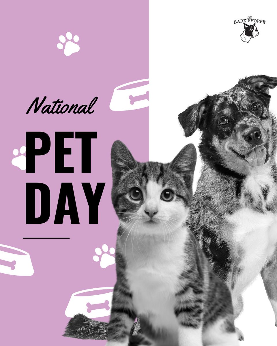 Today is #NationalPetDay and the perfect day to celebrate the joy and love our furbabies bring into our lives!

Let's make every moment count, not just today. Let's show them the appreciation they deserve because the unconditional love they give us is priceless.

#thebarkshoppe