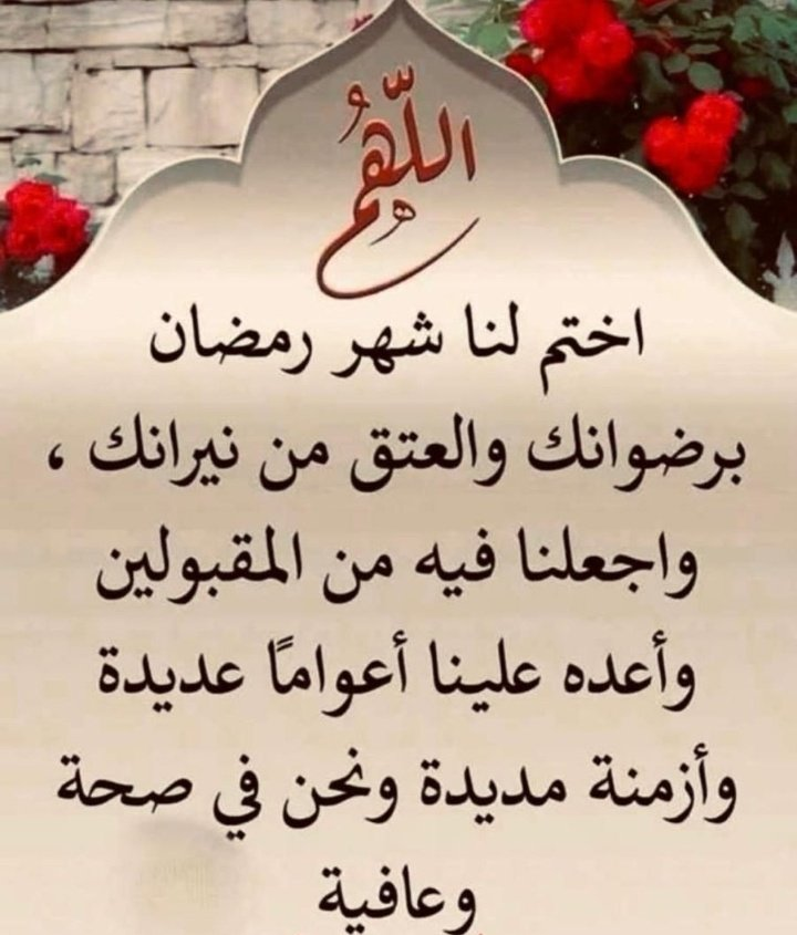 Abu Abdullah MBS🇸🇦 (@faisal_a_n) on Twitter photo 