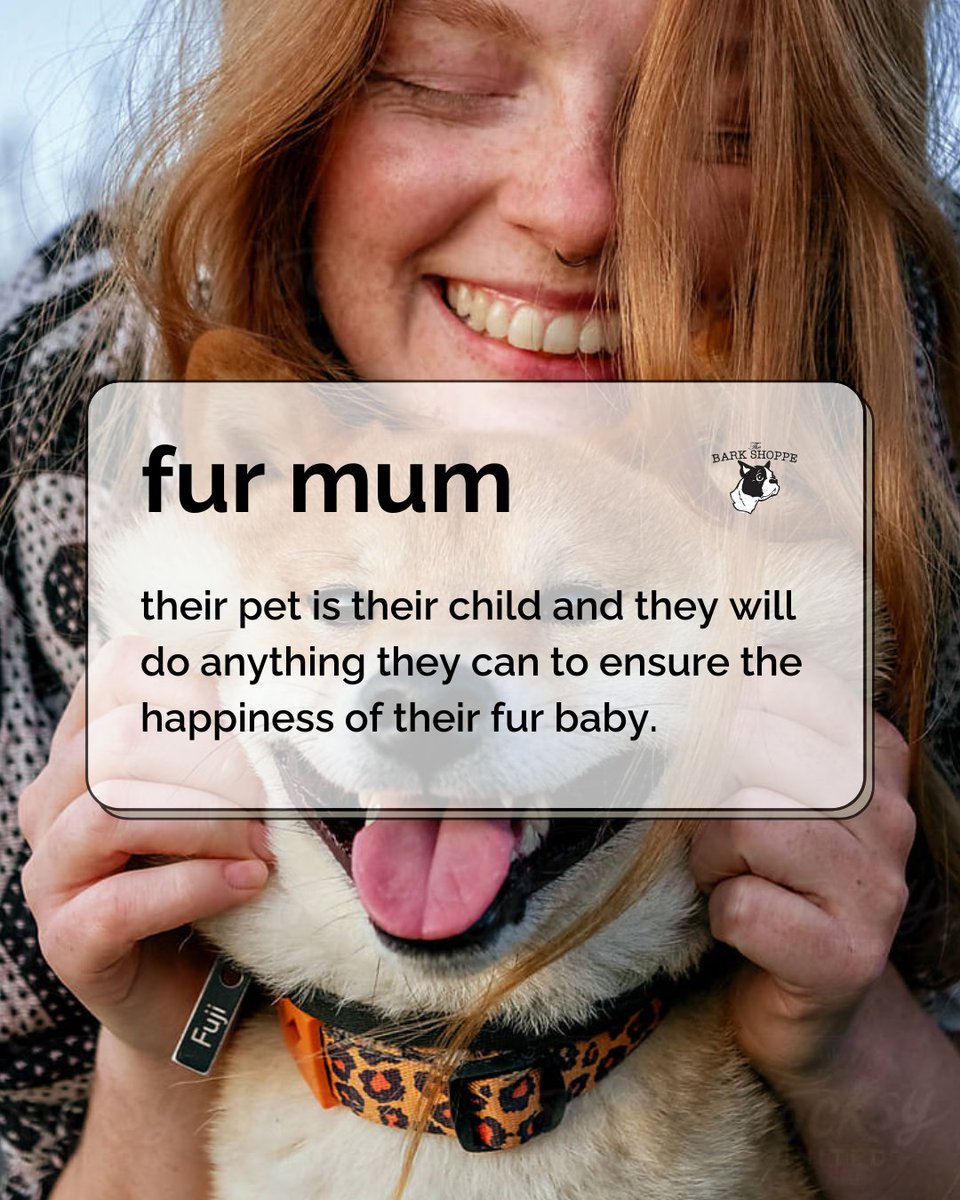 To all the fabulous fur moms out there, take a paws and remember that you're doing a tail-waggingly great job! 🐾 Your fur babies are living their best lives 💖

Share this with a fur mom.

#thebarkshoppe #petparent #newyorkpets #doglovers #dogloversofinstagram #dogsarethebest
