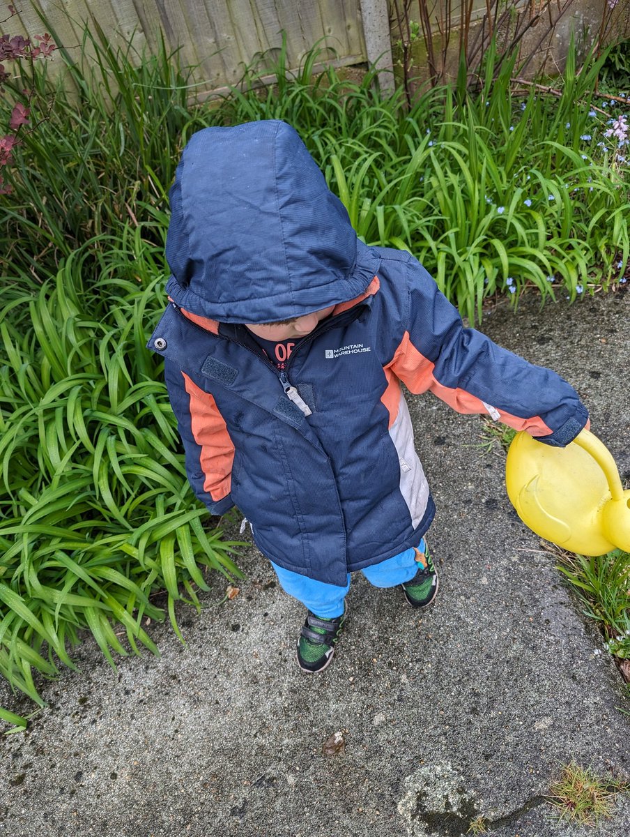 It's raining so naturally the toddler wants to be outside, watering stuff