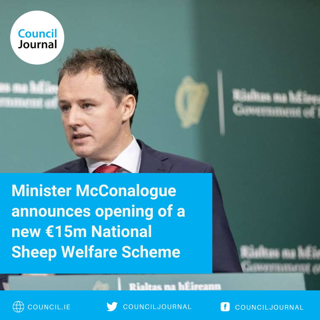 Minister McConalogue announces opening of a new €15m National Sheep Welfare Scheme Read more: council.ie/minister-mccon… #Irishfarmers #sheep #farmingscheme #animalwelfare