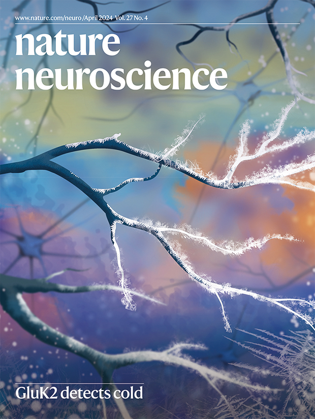 Chill out with our April issue! nature.com/neuro/volumes/…