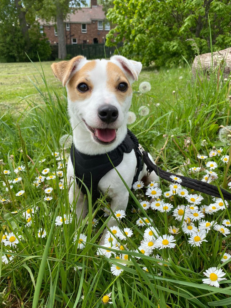 bondedagency tweet media