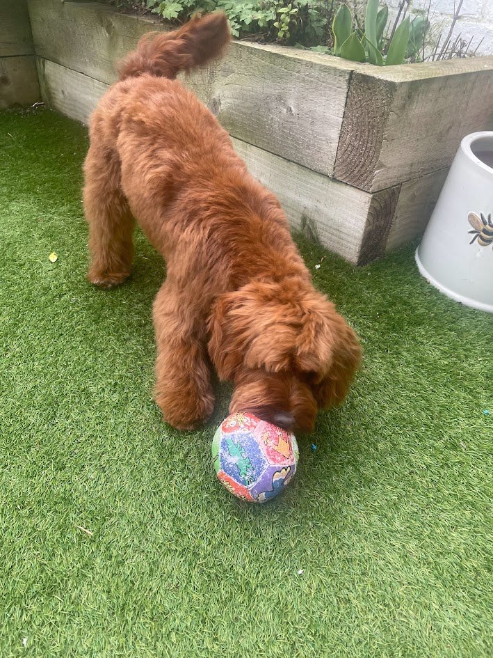 bondedagency tweet media