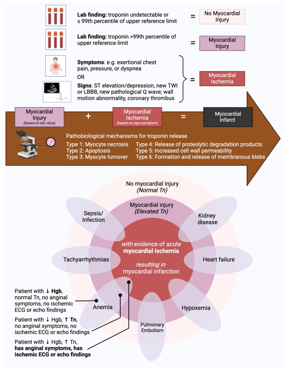 diagnostic_mdpi's tweet photo. #HighlyAccessed
#Review #openaccess #diagnostic #myocardial
Clinical Interpretation of Serum #Troponin in the Era of High-Sensitivity Testing by Marah Maayah et al. @ruey_hu @Yale @YaleMed
📜Read the full paper here: https://t.co/9ADw55CuEL https://t.co/avzbFmdMKF