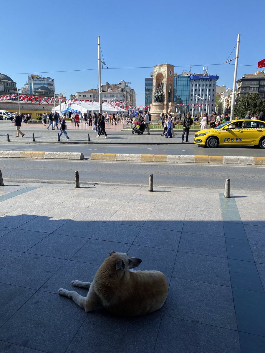 Good to be back, Istanbul. It’s been a long three weeks of excursions in Lycia and the Tur Abdin.