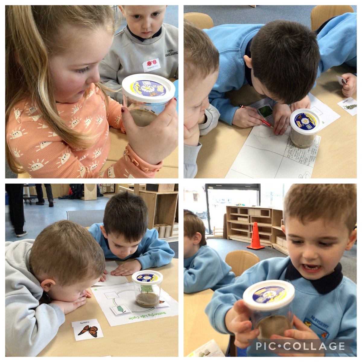 Simpson PS Nursery tweet media