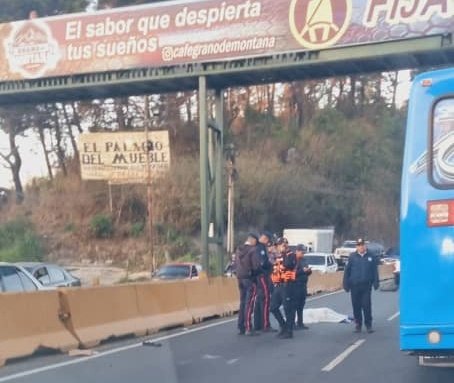 El Tequeño tweet media