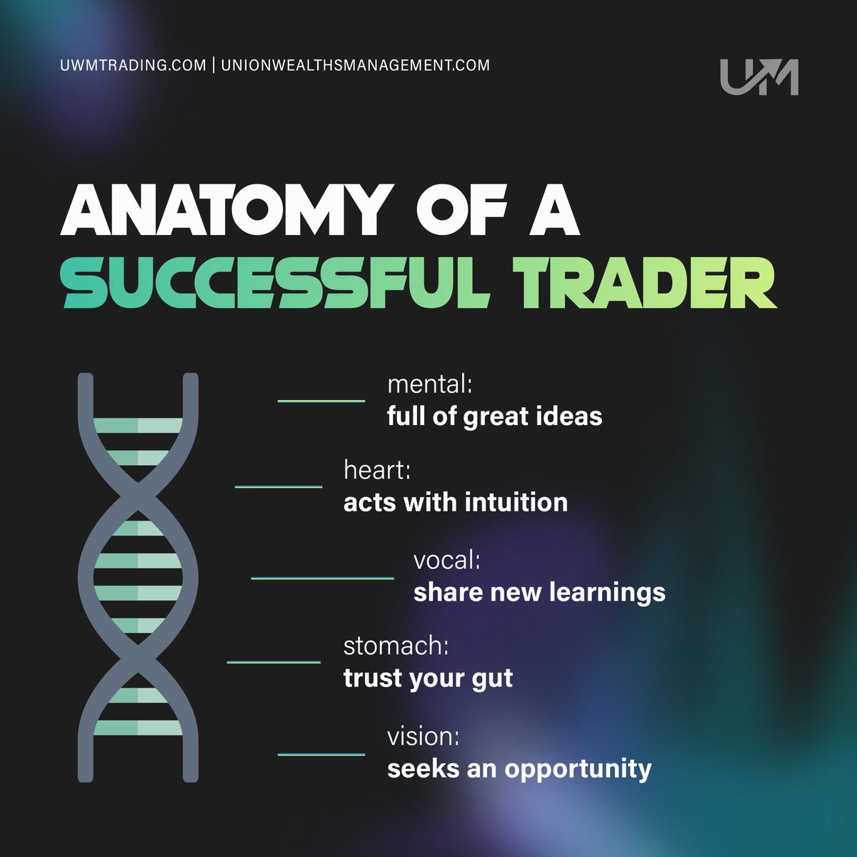 The Anatomy Of A Successful Trader 🧬