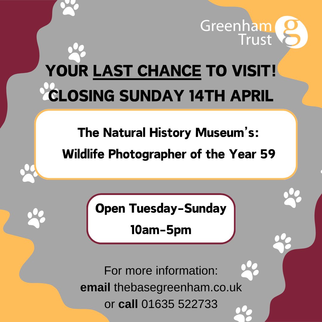 The acclaimed display, Wildlife Photographer of the Year 59, is currently on loan from the Natural History Museum in London and will be open at the Base, Greenham until Sunday, 14th April 🦁. Take advantage of this chance to witness the most esteemed photography event!