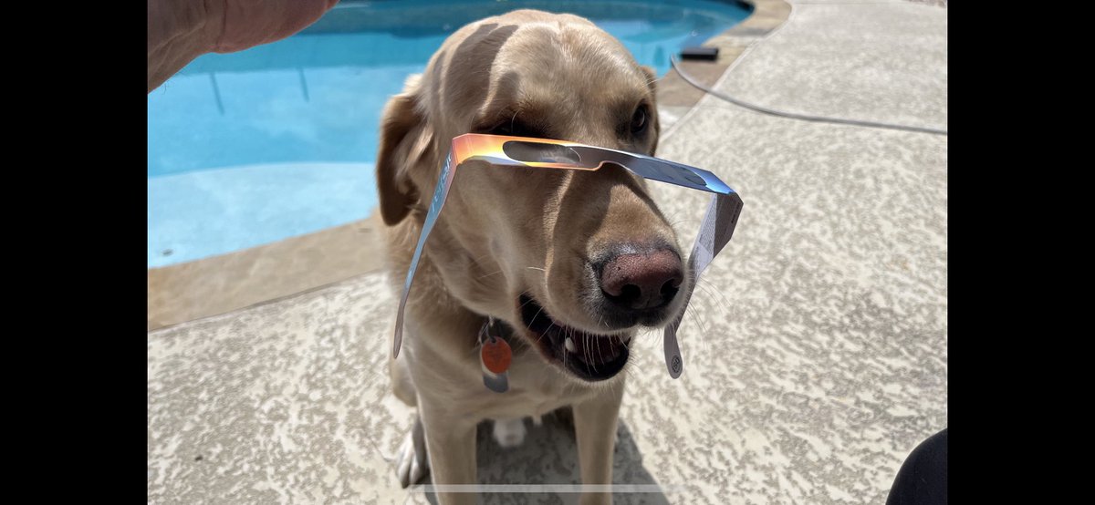 warrensworlds's tweet photo. Totally Eclipsed…having a great time at the Eclipse Pawty..😎 https://t.co/9Yna6u60C3