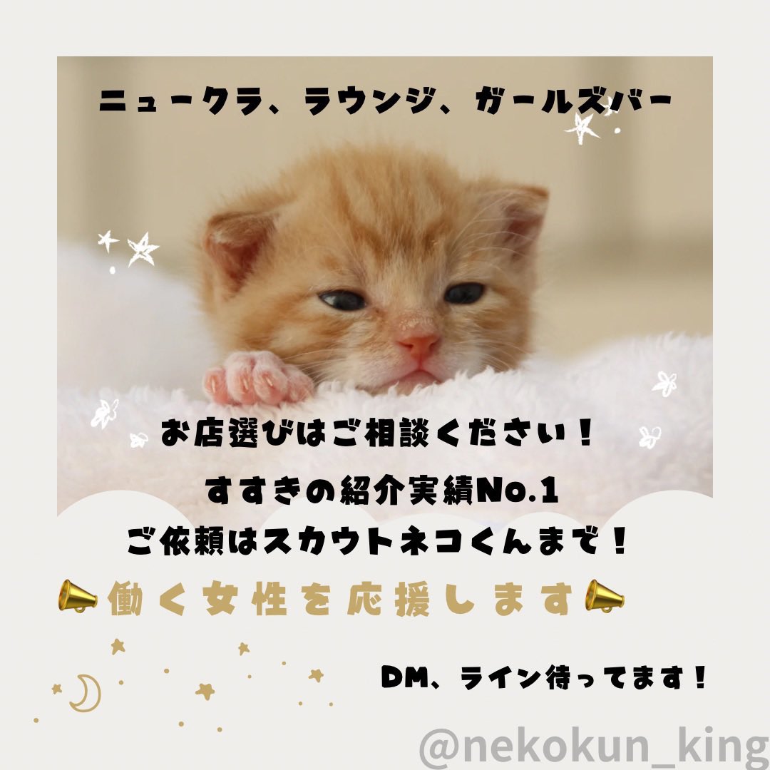 nekokun_king tweet picture