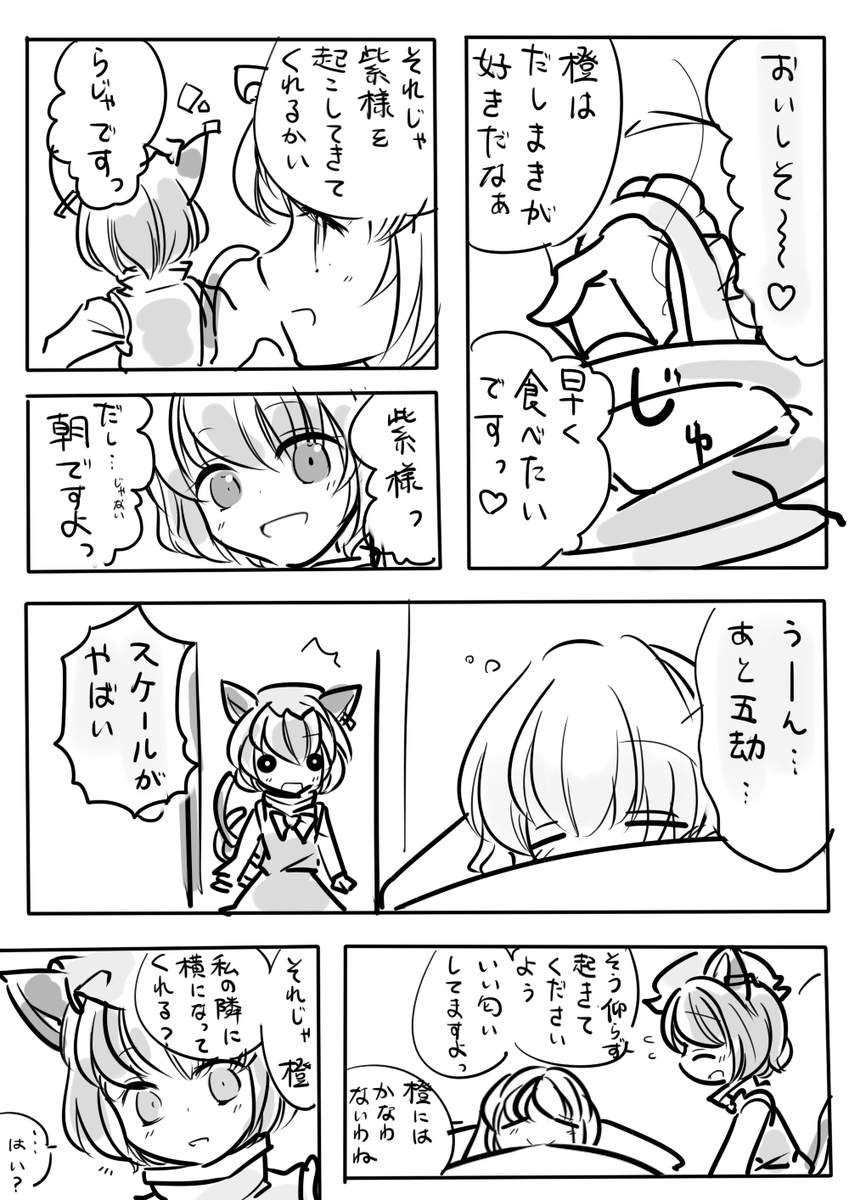 猫も杓子も丸くなる 