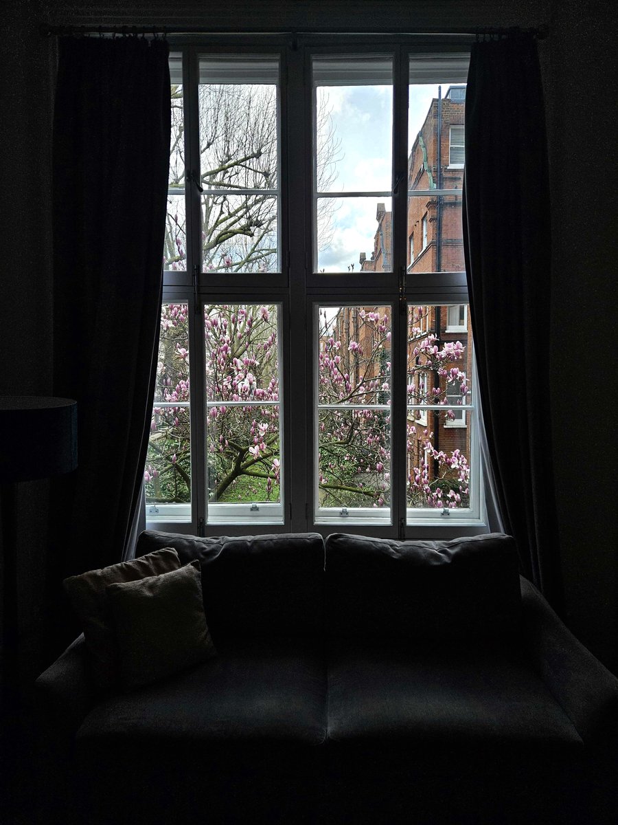 Spring has finally sprung, and the blue skies have returned! 🌺☀️😍

We're looking forward to the warm weather and to welcome you into our homes. 

Have you booked your next trip yet? If not, now could be the perfect time to start looking...

#spring #travel #shorttermrental