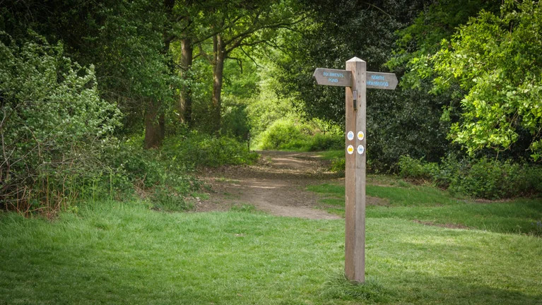 Join us for the RotaWalk’24, organised by Rotary in Dorking which will take place on Sunday 28th April 2024! This event is for people to come together to walk 1000 miles around Holmwood Common, National Trust land in Dorking. rotary-ribi.org/clubs/page.php… #theprostateproject