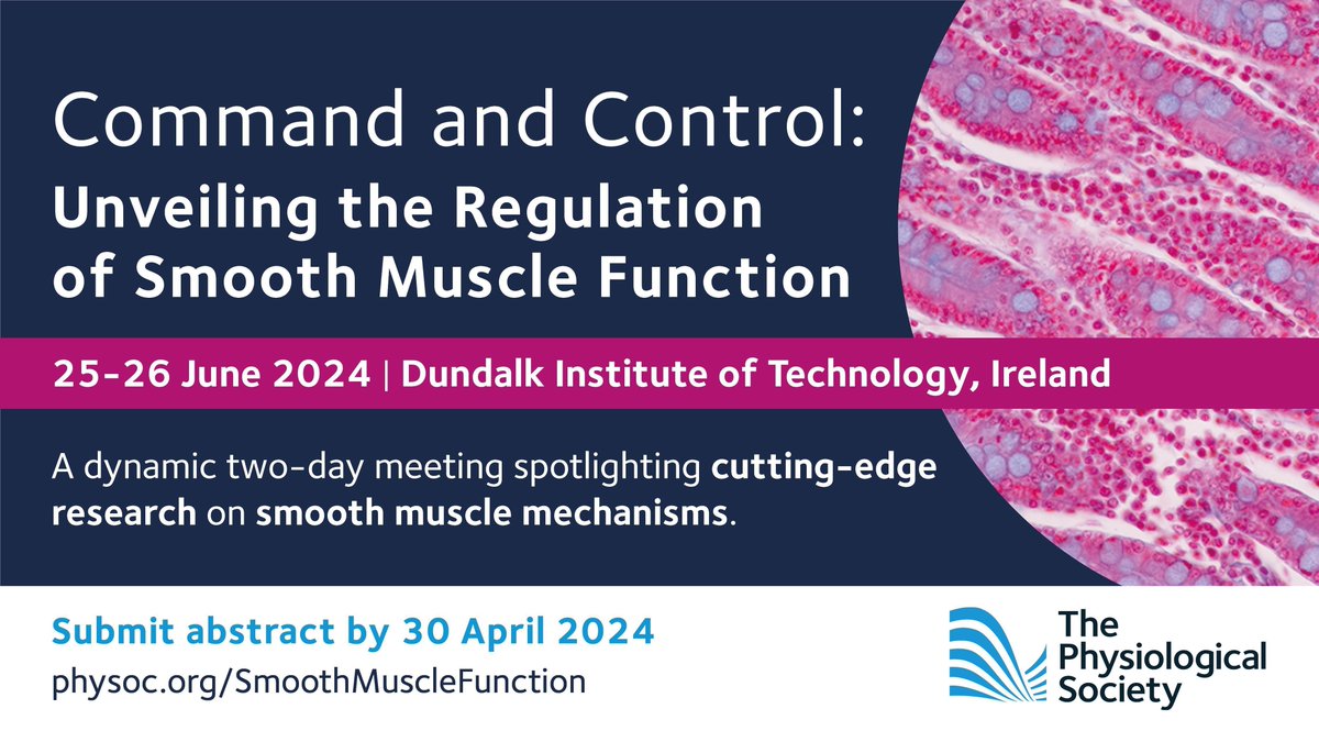 PhySoc's tweet photo. π’ Abstract submission is OPEN! π’
Submit your abstract for the #SmoothMuscleFunction meeting @DkIT_ie taking place on 25β26 June. Showcase contemporary research on smooth muscle electrical signalling, calcium dynamics & external control mechanisms: https://t.co/2iDEGfDftI https://t.co/wQbQtcS4NR