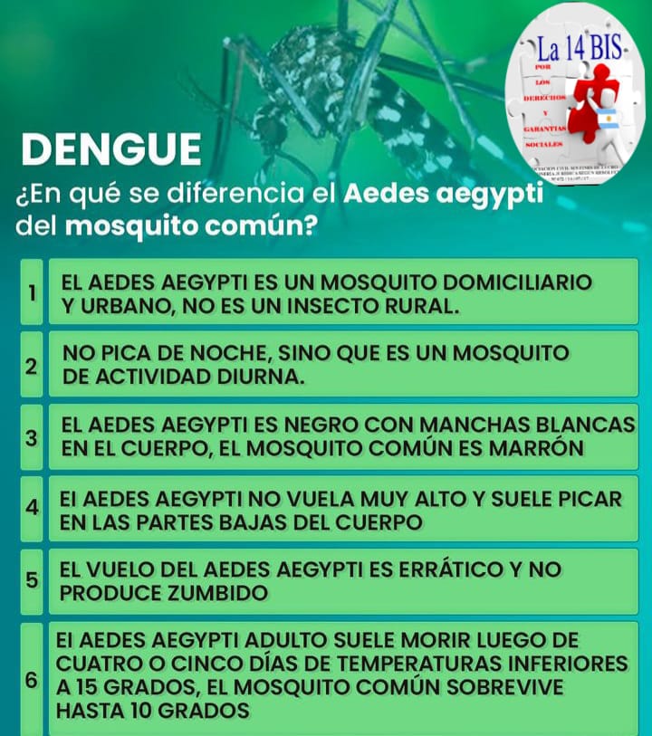 #Dengue #SaludPública @opsoms  @opsargentina
