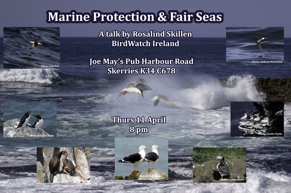 Date for the Diary – Marine Protection and Fair Seas talk in Skerries next Thursday by @rosalindskillen from @BirdWatchIE. #FairSeas #30x30Ireland