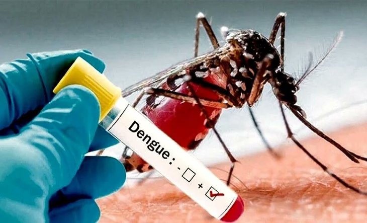radio10mdq's tweet photo. Alerta en General Pueyrredon: se detectó el primer caso autóctono de dengue - RADIO 10 MAR DEL PLATA - FM 105.5: https://t.co/3KxigD8bJb #denguesincontrol #MardelPlata @Radio10 @Gatosylvestre #DengueEnPueyrredon
#AlertaDengue #PrevenciónDengue https://t.co/1FLjDxD64l