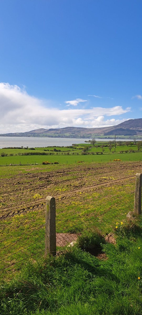 Veiw from the base of the beautiful Mourne mountains in Northern Ireland,looking across to our neighbours in Carlingford Republic of Ireland #tourismNI #DiscoverNI #NorthernIreland