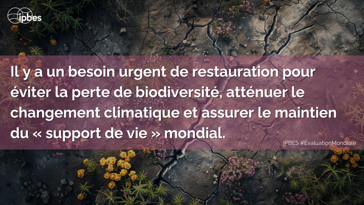 La 1ère #ÉvaluationMondiale d'@IPBES a:
🚨Souligné des facteurs d'extinction
🌿Identifié des solutions fondées sur la nature
🌍Été vitale pour la crise de la #biodiversité

L'#ÉvaluationMondiale2, en cours, d'@IPBES fera avancer:
💡La compréhension
⚙️Le changement transformateur