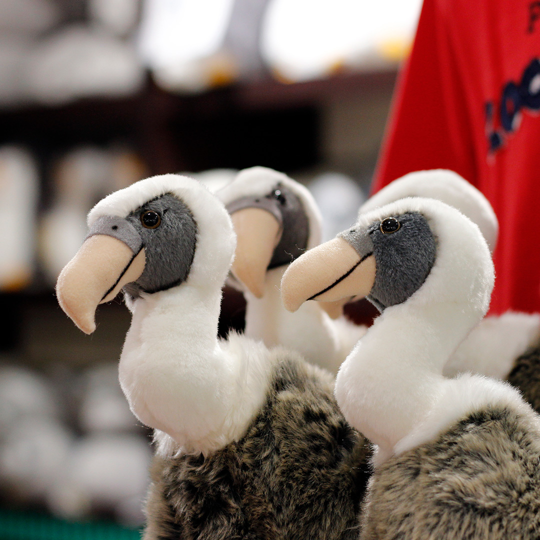 BonoParques tweet media