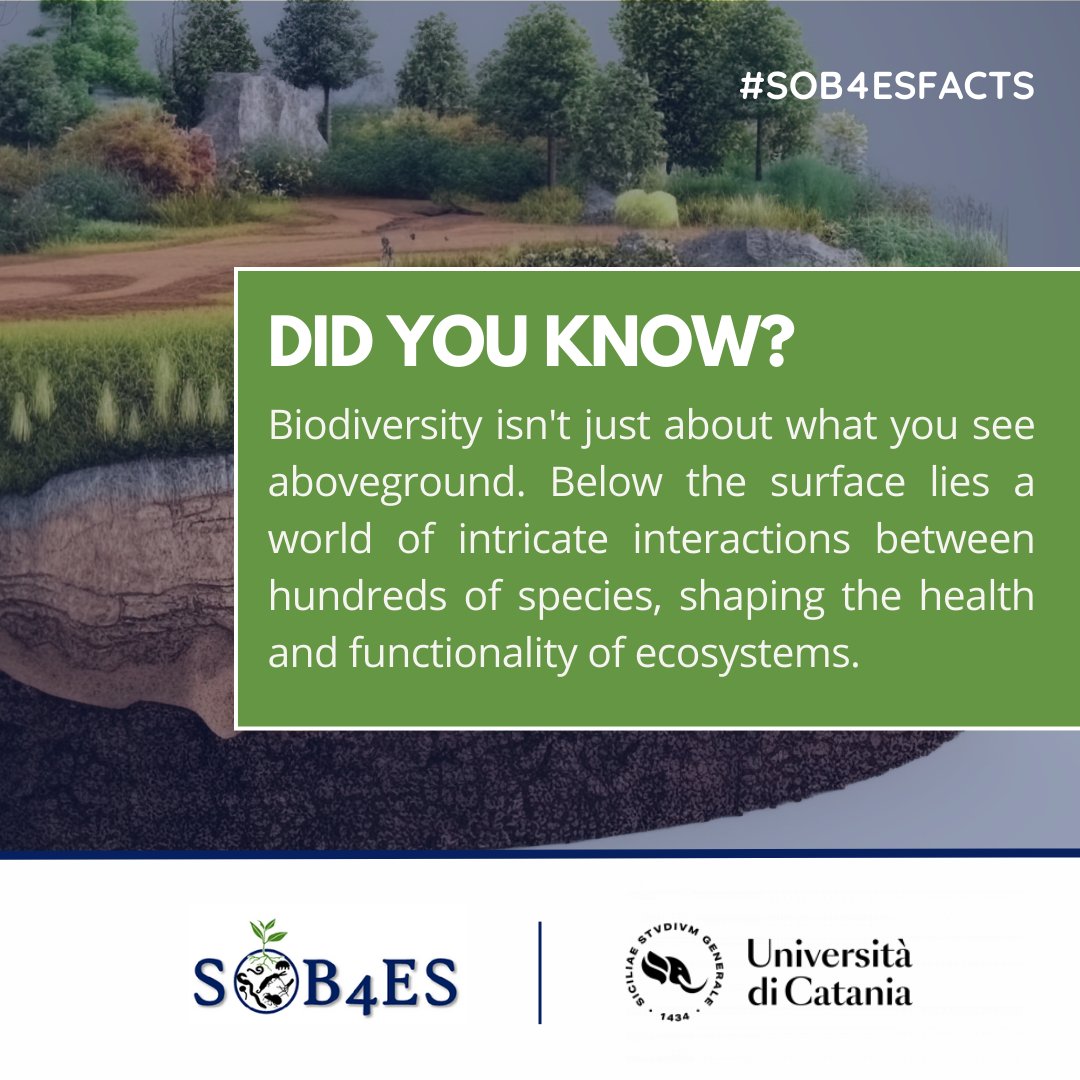 Biodiversity comes in many forms, some of which aren't always visible, but their importance in keeping ecosystems functional and healthy is clear. #SOB4ESFacts #SoilBiodiversity #SoilHealth #MissionSoil 1/2