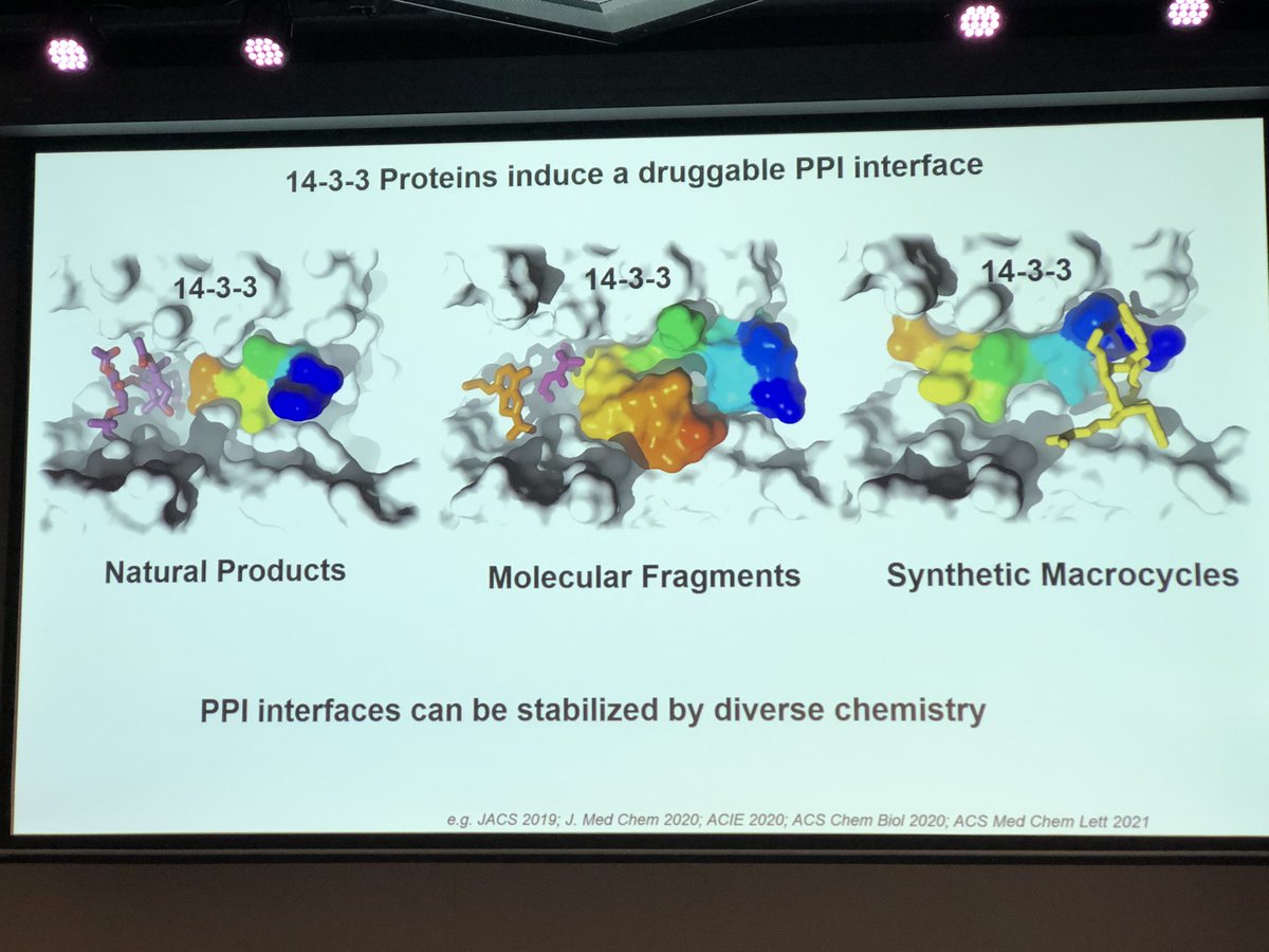 The first talk of the PPI session is given by Luc Brunsveld on unlocking the 14-3-3 interactome for Drug Discovery #MedChemFrontiers24 @EuroMedChem @AcsMedi