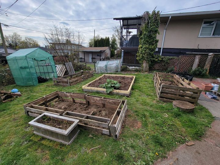 Making raised beds from old pallets! Not finished but I'm liking the progress so far. Can't wait to plant everything in May and not have to bend down so much.