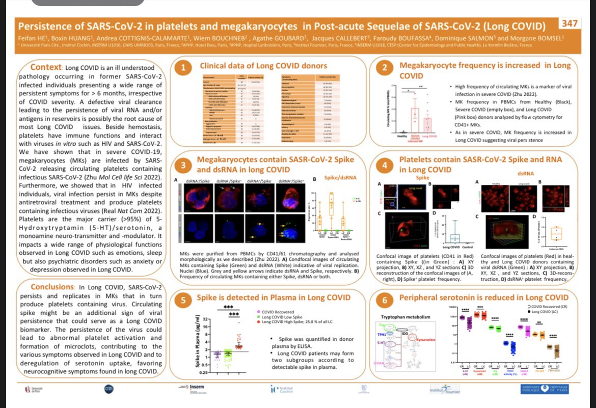 7/ This French team presented a poster showing spike in #LongCovid blood. They also found SARS-CoV-2 double stranded RNA indicative of viral replication in the platelets of LongCovid patients: croiconference.org/abstract/persi…