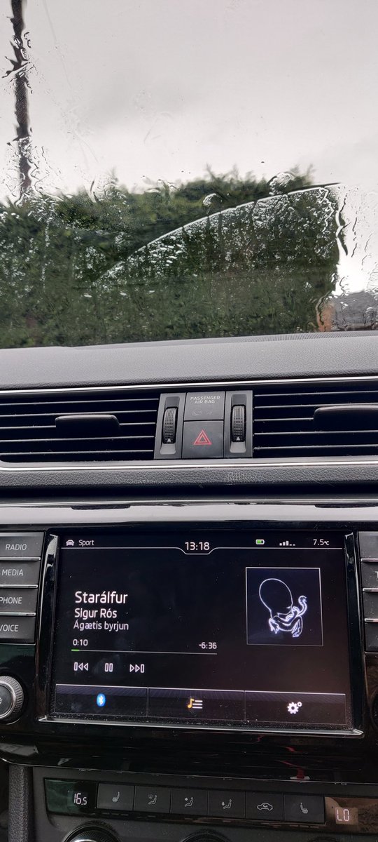 Perfect song for a rainy drive 😍🥰🖤

#sigurros