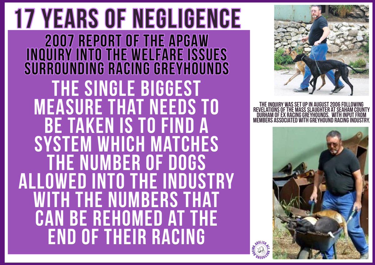 APGAW #Westminster 2007 hit the nail on the head after #Seaham slaughter: Pumping #Greyhounds into the industry just increases number of unwanted racing #Dogs entering crisis hit rescue centres @fincarson sgvscience.files.wordpress.com/2015/07/report… #BanGreyhoundRacing #CutTheChase #UnboundTheHound