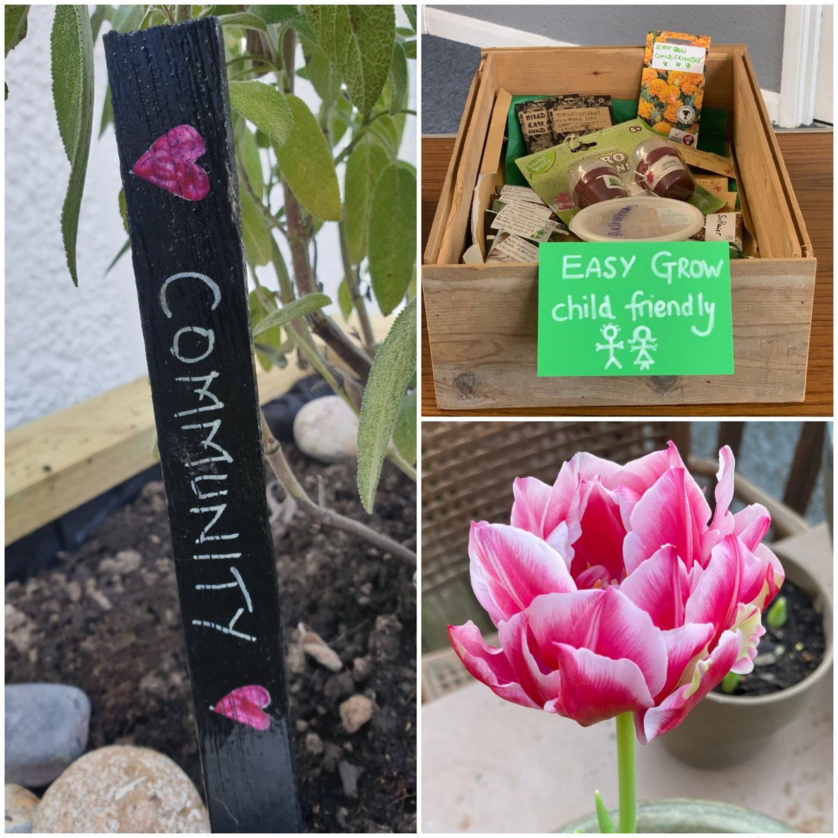 🙏💚 all who came to #penge East Community #spring celebration & seed exchange on Sunday. Lovely to meet friends & neighbours from near & far.🙏 £210 collection for @LWBromley @BritishRedCross @BrynawelRehab1 @railwaygardens @GreenGymPenge @thepengetourist #se20 @toastshack 💚🐦