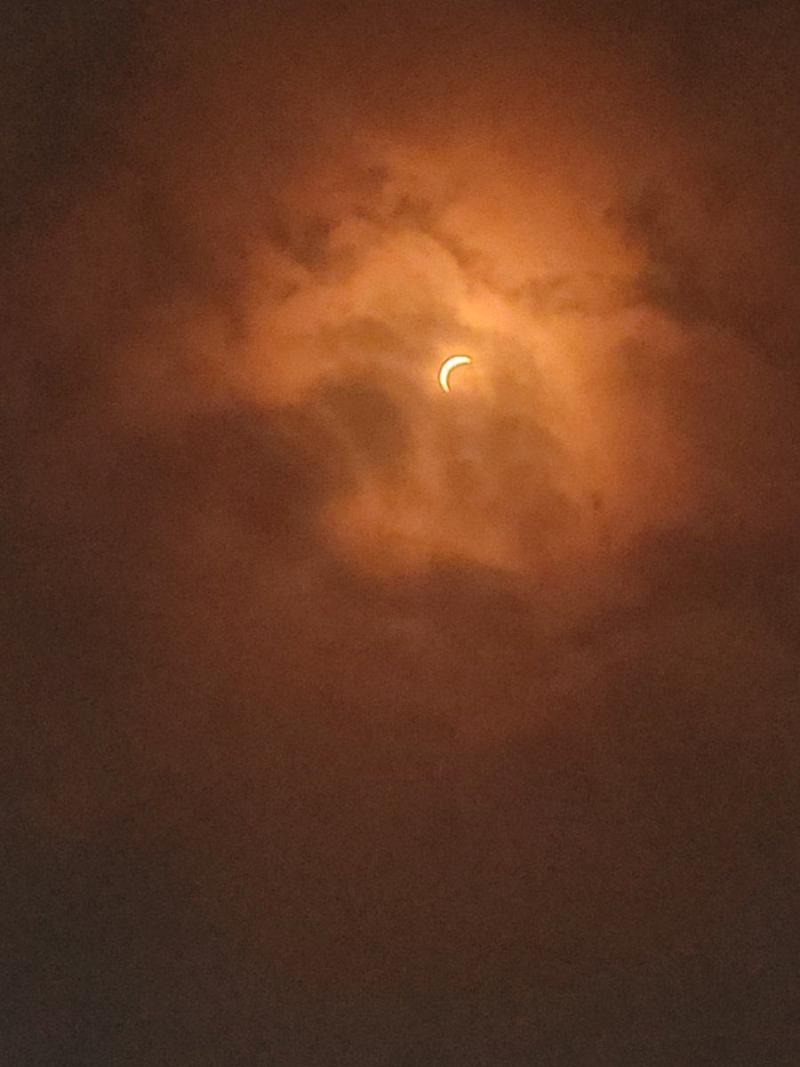 Sheepykin's tweet photo. @MontgomeryCoMD Here are the two I managed to take through some eclipse glasses. https://t.co/T0sYMFBwwA