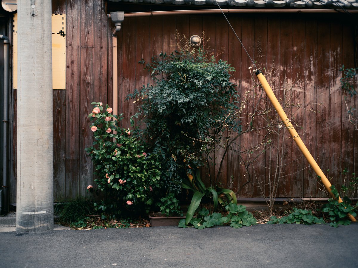 24.04.19 住宅街のスナップは、ここの間に植木鉢置いたらいいよなぁとか考えたであろう、お家の方の小さな心で形成されていて面白い。 #gfx #fujifilm #yousawscenes #日常写真