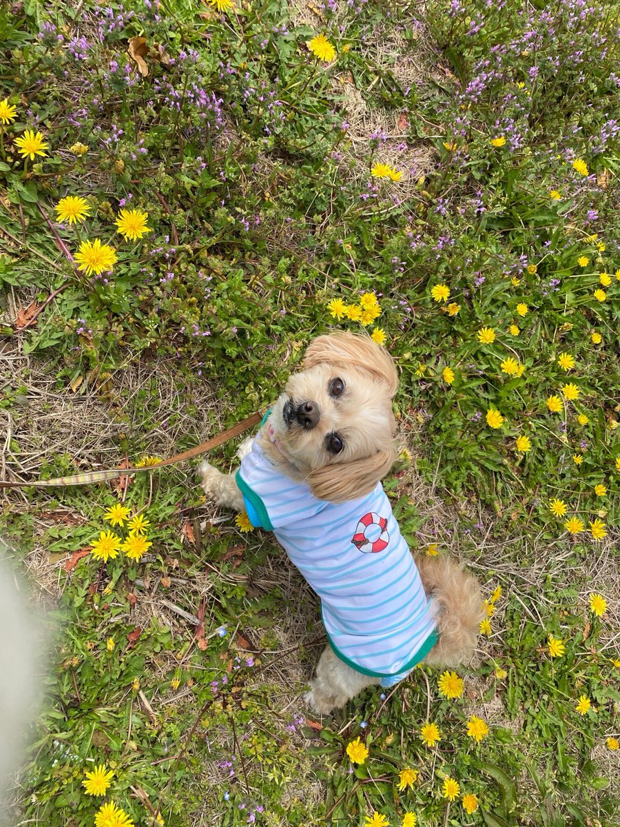 母から来た、ちゃんとカラーのトトさん(ㅇㅅㅇ)♪