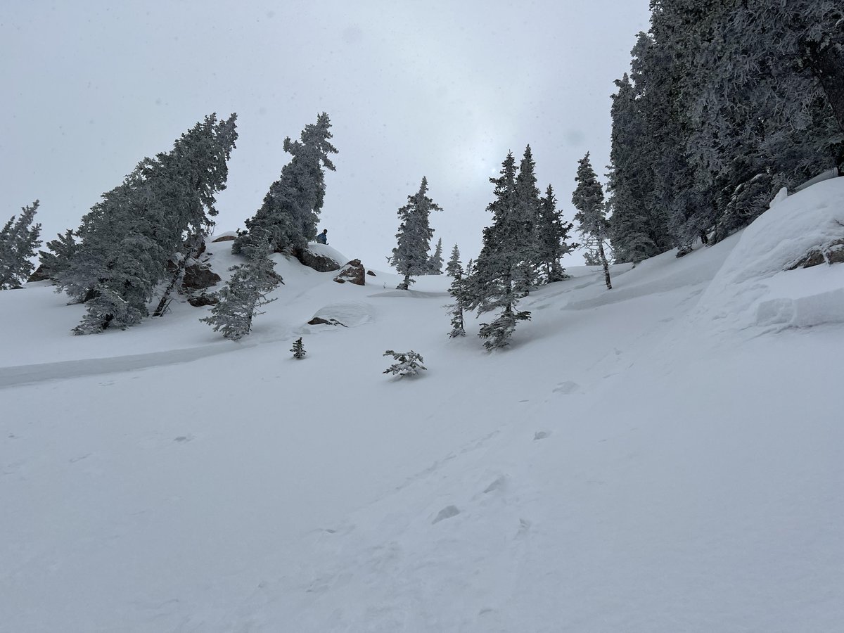 Strong wind will keep the possibility of triggering avalanches alive today. Wind is loading slopes at many elevations so be careful in gullies and near ridgelines where drifts can be thick. The danger is rated MODERATE throughout our forecast area.