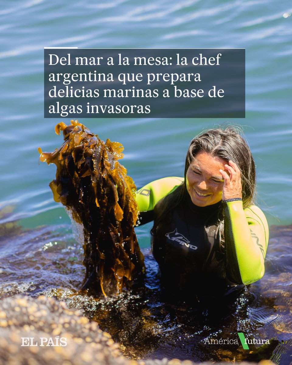 🇦🇷🍱🌊Su pequeño restaurante está ubicado en Camarones, un pueblo en la provincia patagónica de Chubut. En sus platos usa el wakame, una especie exótica y dañina para el ecosistema marino argentino, pero rica nutricionalmente ✏️@djemio 🔗tinyurl.com/25nxl977