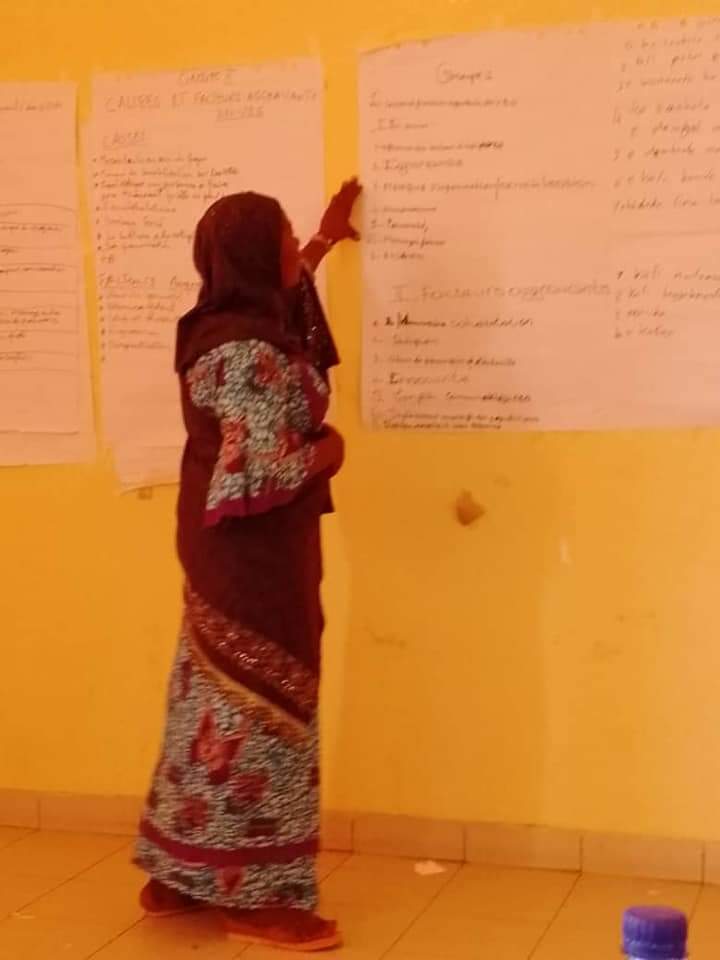 rbm_maroobe's tweet photo. Renforcement des capacités des relais communautaires sur les #VBG. Sessions tenues simultanément à #Dori et à #Gorom en collaboration avec les services techniques en charge des questions Genre de #RECOLG TOP UP en partenariat avec #SaveTheChildren sous financement de #DANIDA. https://t.co/eNnsROg8pK