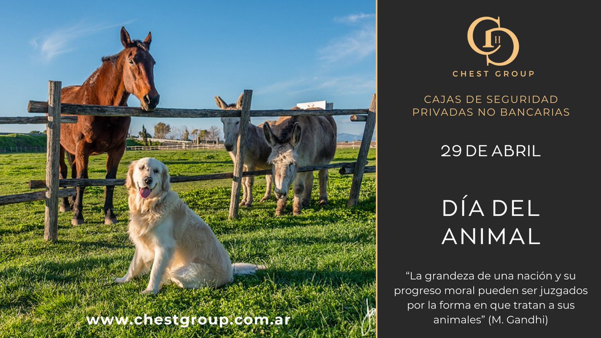 Un día para recordar y valorar a nuestros amigos peludos ¡Ellos siempre estarán ahí para acompañarnos y ofrecernos su desinteresada amistad! 🐶🐱🦆🐻🐷🦊

#diadelanimal🐶 #Mascotas #animalrights #chestgroup #cajasdeseguridad #boveda #dolares #Ahorro