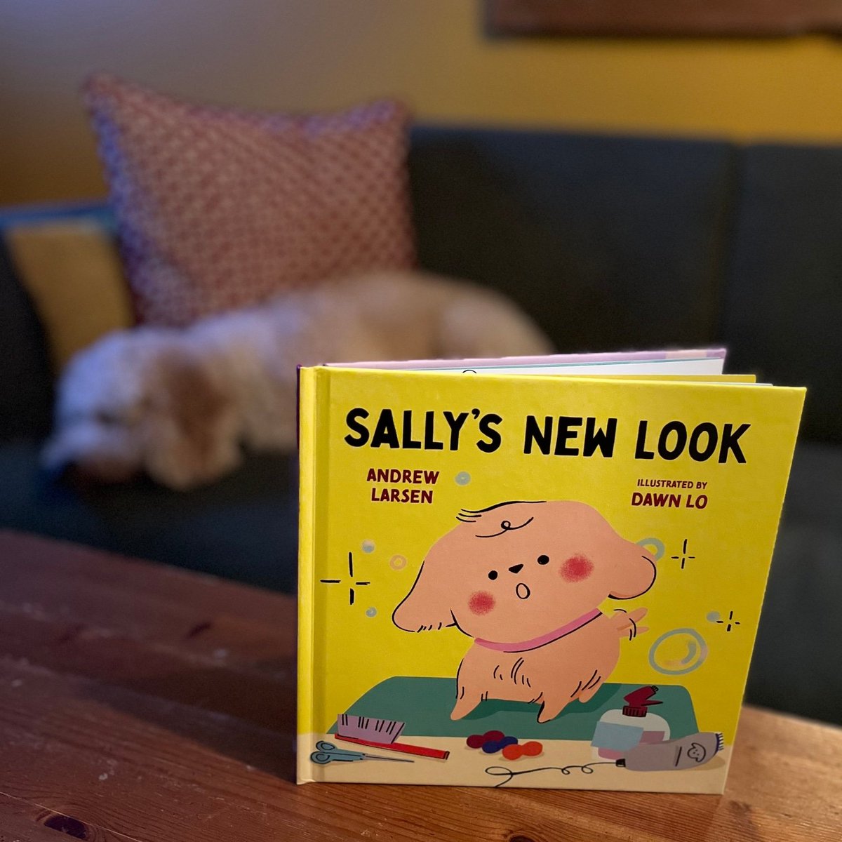 Sally's New Look @orcabook