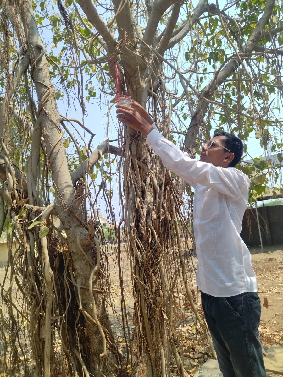 abvplatur's tweet photo. आज अखिल भारतीय विद्यार्थी परिषद व विकासार्थ विद्यार्थी (SFD) औराद आयोजित मास्टर दिनानाथ मंगेशकर महाविद्यालय औराद येथे पक्षी मित्र अभियानाच्या माध्यमातून पिण्याच्या पाण्याची व्यवस्था करण्यात आली. https://t.co/C3k5hytvxt