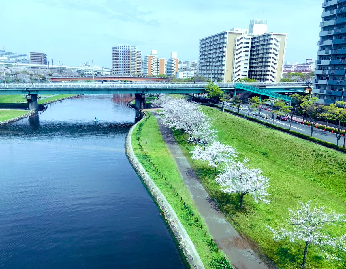前天的樱花与河水