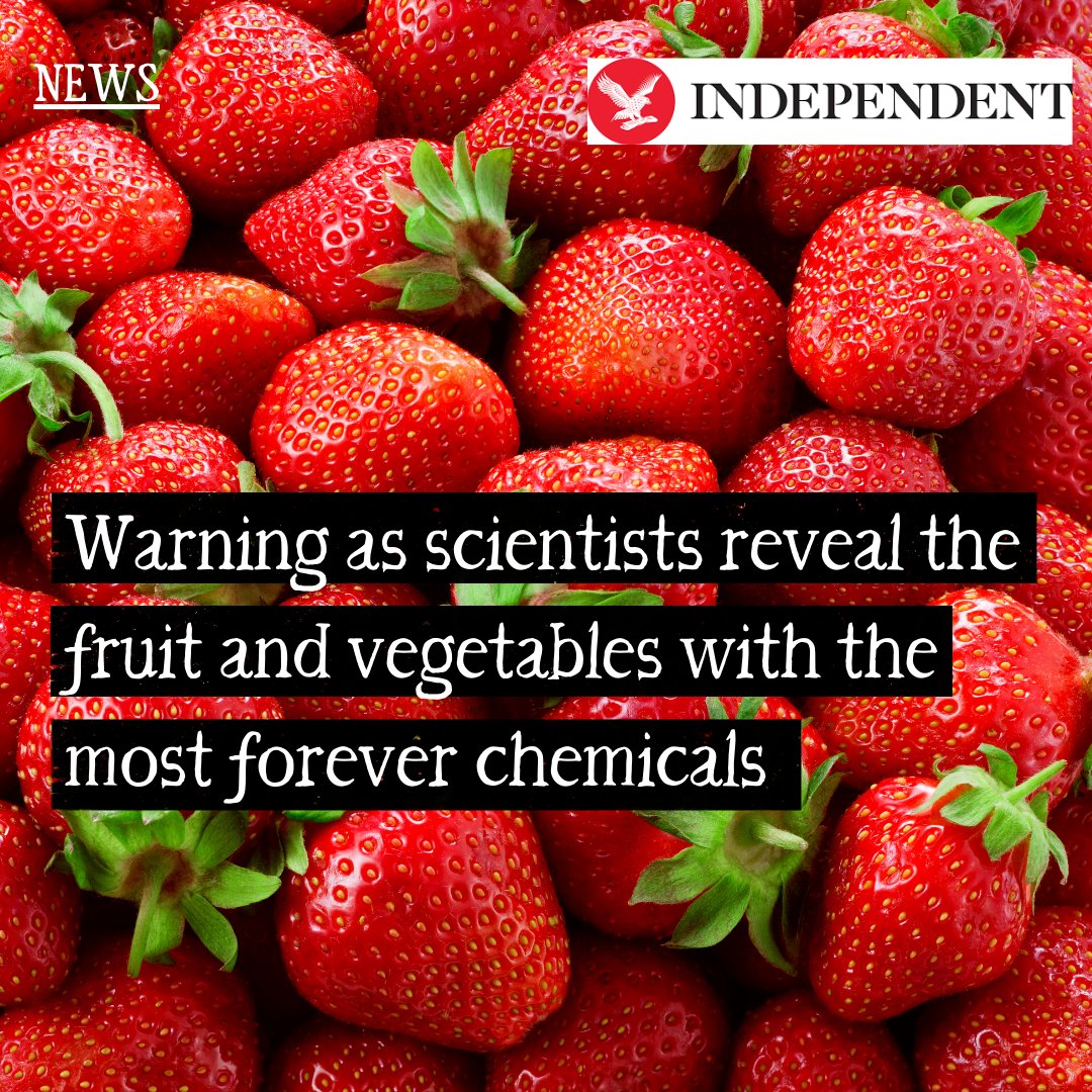 Toxins known as 'forever chemicals' have been found in common fruits and vegetables in the UK. Organic farmers never use synthetic pesticides, which can contain these chemicals. Isn't it time we saw some action on this? @PAN_UK independent.co.uk/news/health/fo…