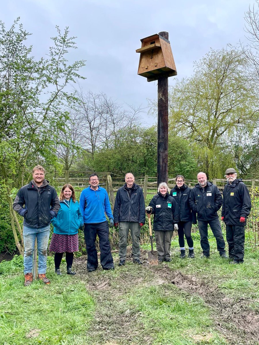 The barn #owl box is in! A huge thankyou to everyone who has helped this dream become reality ❤️🦉❤️