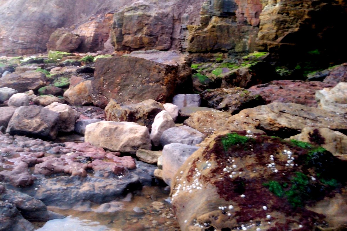 South Side, The Cliffs Below #ClevelandWay, #YorkshireCoast

#RockinTuesday
#Shoreline
@DailyPicTheme2