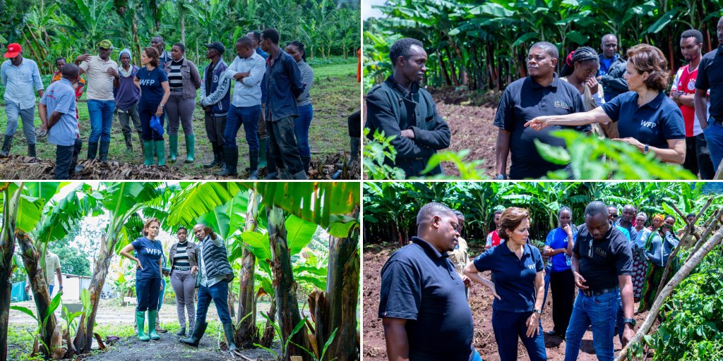 Joint @WFP_Tanzania & @taha_tanzania field visits in Arusha and Manyara regions to interact with horticulture smallholder farmers we are supporting.