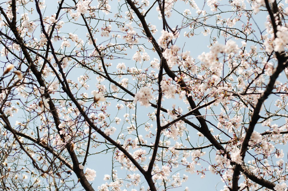ks___phot's tweet photo. ame tsuchi https://t.co/xO0fnRixWN