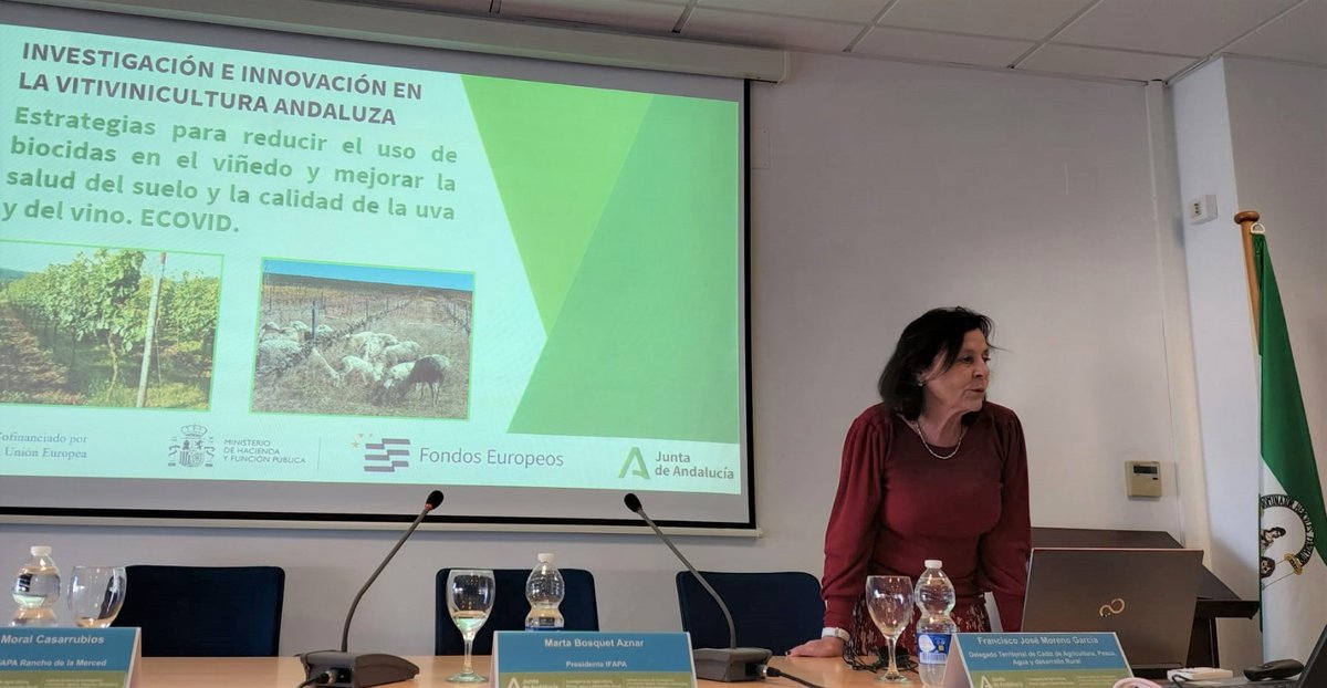 IfapaJunta's tweet photo. El #IFAPA presenta un proyecto para mejorar la calidad de la #uva y del #vino, la salud del #suelo y reducir biocidas en el #viñedo🍇
El proyecto #ECOVID también estudia el uso del #alga invasora como #biofertilizante y #bioestimulante
🔗Noticia: https://t.co/jaMrSQgGyp
#FEDER https://t.co/zh8c3aZ3lT
